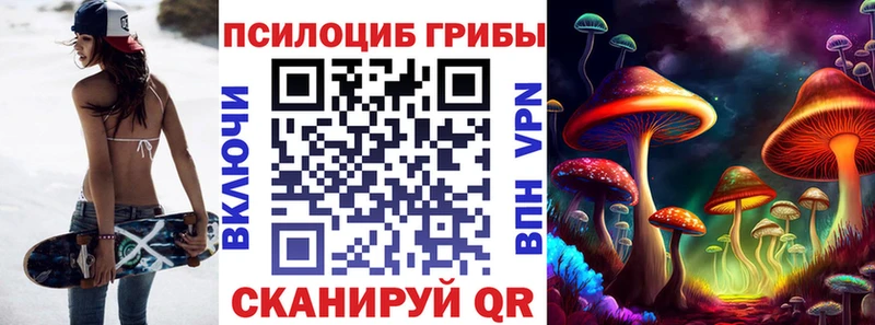 закладки  Сибай  Псилоцибиновые грибы MAGIC MUSHROOMS 